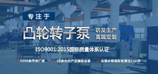 凸輪轉(zhuǎn)子泵生產(chǎn)廠家，專注于凸輪轉(zhuǎn)子泵的研發(fā)生產(chǎn)，高端定制